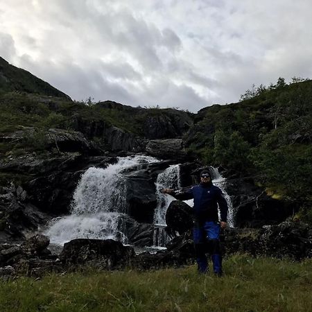 Gullesfjord Camping Exterior photo